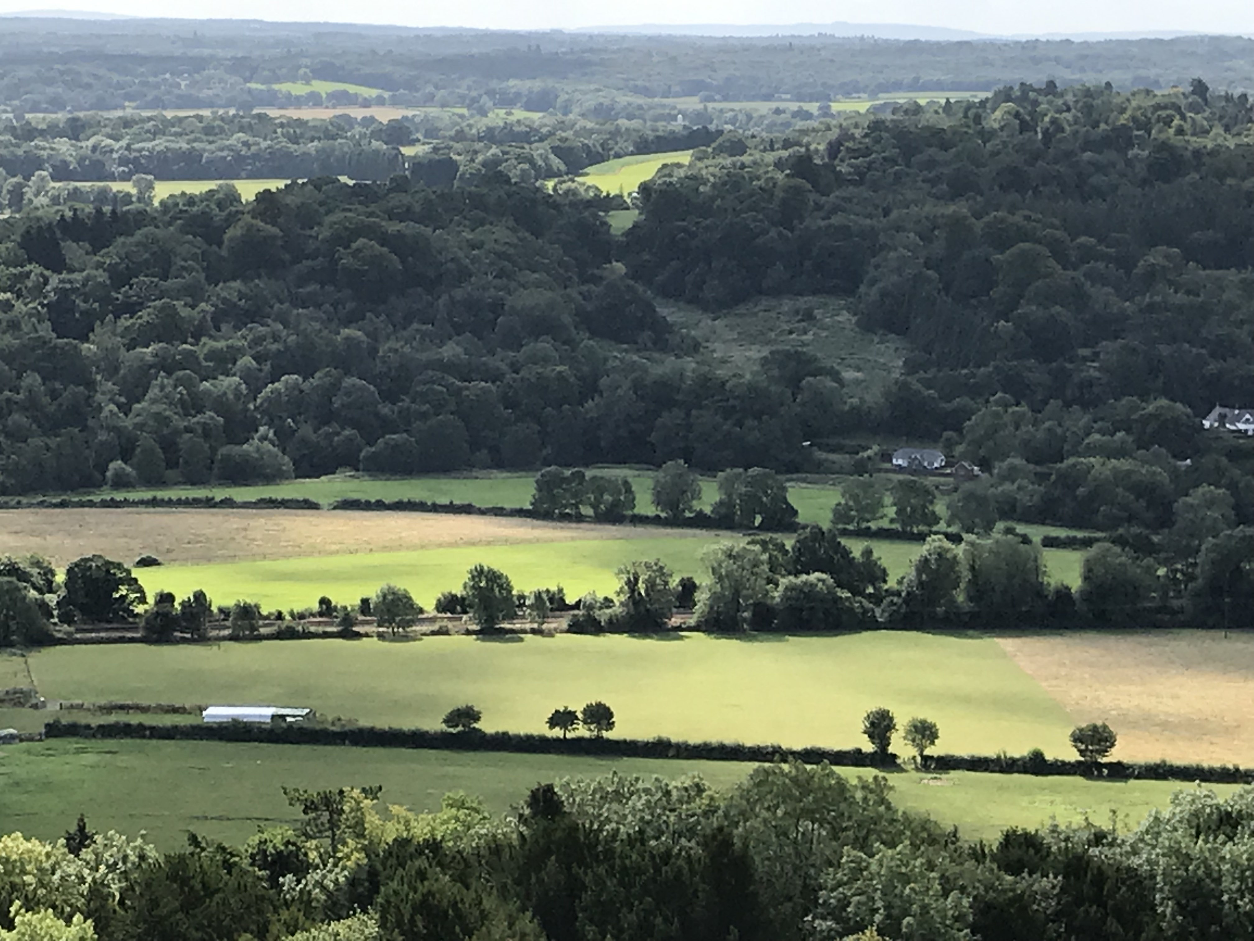 Box Hill overlooking Surrey Hills Area of Outstanding Natural Beauty photo by Jenai Morehead