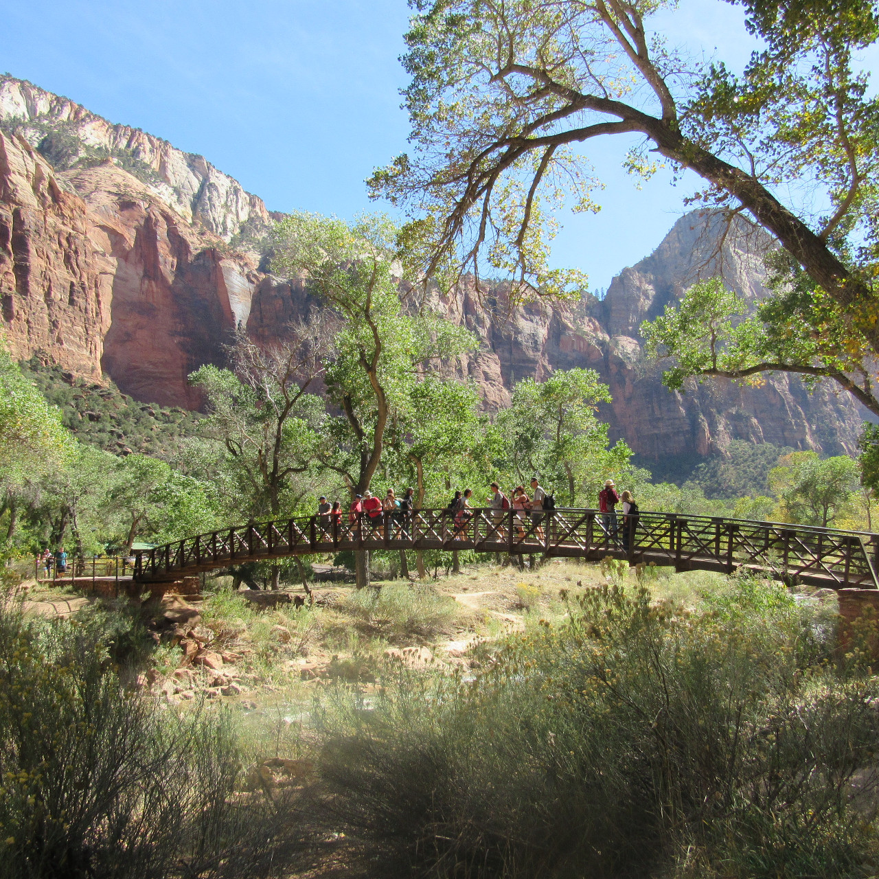 Bridge to Emerald Pools Trail