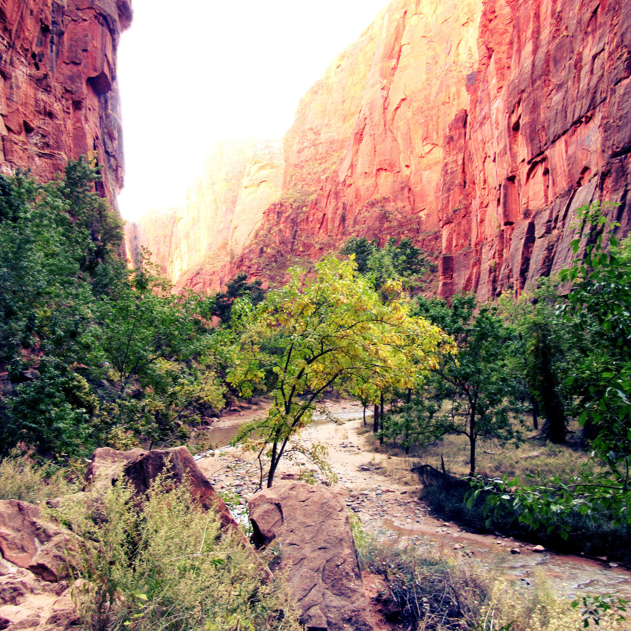 Zion Canyon