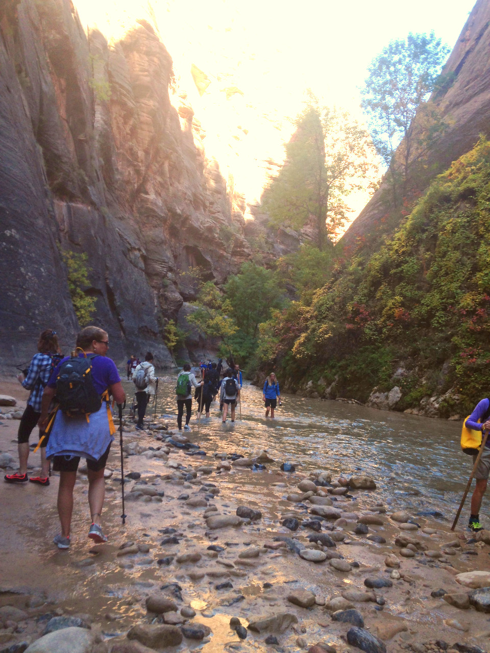 Narrows Hikers in water