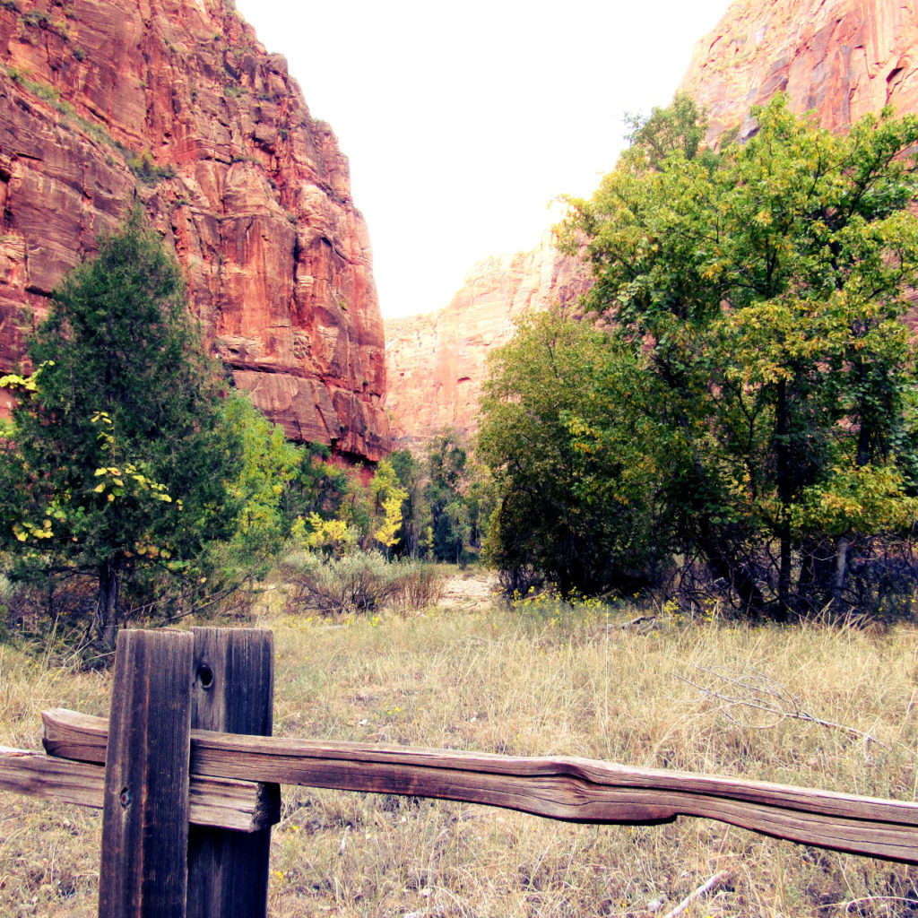 Zion Canyon Meadow